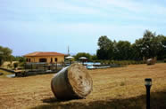 View towards Il Piscino, Umbria