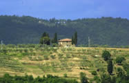 Il Saracino, Tuscany