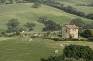 organic farm in tuscany called agriturismo le calle