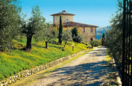 Silvana, in Chianti Tuscany.