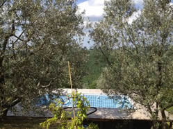 La Casina nel Bosco pool