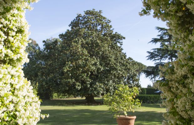Lawn villa ravano pisa