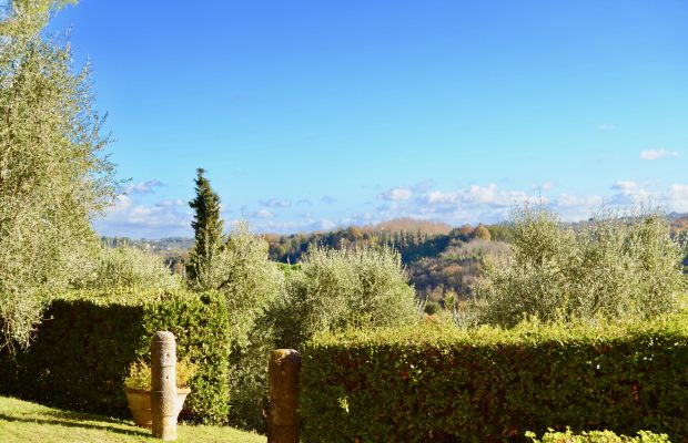 More views from the property