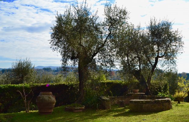 Quiet corner of the garden