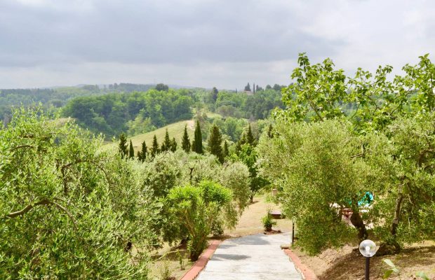 Villa Guardavalle: pathway to the pool
