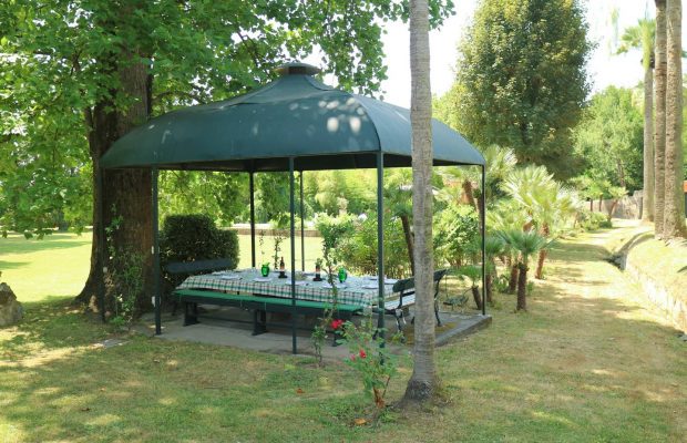 Pergola in the garden