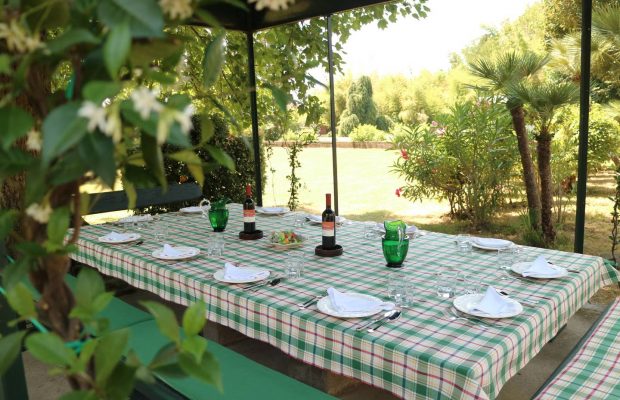 Dining beneath the pergola