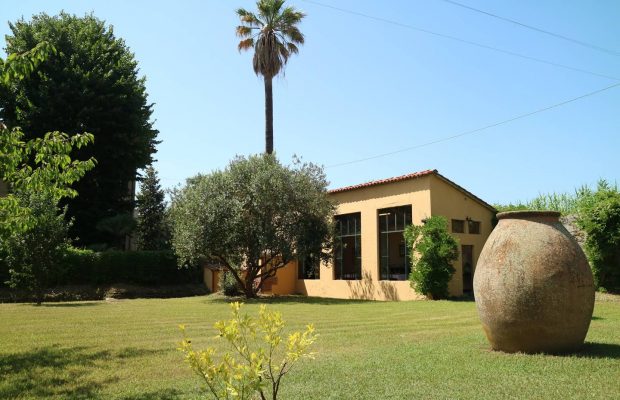 Villa Studiati - Lemon House and its garden